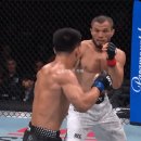 오늘자 UFC Shanghai 피니쉬 모음 이미지