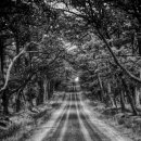 여우피씨 이미지