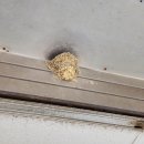 남면 행정복지센터 주차장 이미지