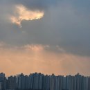 동진결혼정보컨설팅 | 베트남 국제결혼정보회사 수원국제결혼에 대해 궁금하신가요?