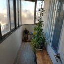 노형초등학교 이미지