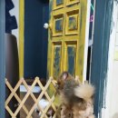 주주종합동물병원 이미지