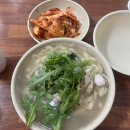 부여읍사무소 | 티티카카 에어 P9로 대청댐~백제보 구간 금강종주 후기
