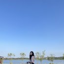 아날로그76 이미지