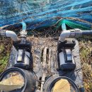 수일 농장 이미지