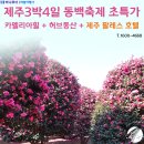 서광여행사 - 수원시 권선구 세권로 109 | 서광여행사