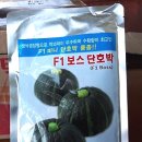 꾸이종묘