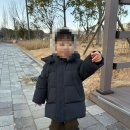 다운세탁 | 자라 워터리펠런트 페더 다운 패딩 - 블랙 색상 후기, 사이즈팁, 세탁방법