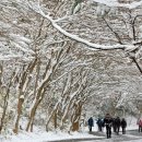 무등산 설경 장관(광주mbc 뉴스데스크 보도자료) 이미지