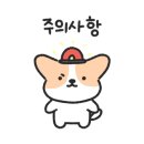 얼쑤라이브