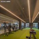 바디피티 이미지