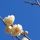 삼성A 경로당 이미지