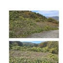 부영나라공인중개사사무소 이미지