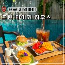 치앙마이 올드타운 가성비 숙소 추천 그린 타이거 하우스 호텔 조식 수영장 내돈내산