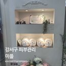 테라피플러스 | 강서구 피부관리 추천｜홈플러스 미플 골드테라피 후기 (명절 후 푸석피부 복구)