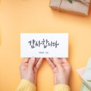 미골드 네이버블로그