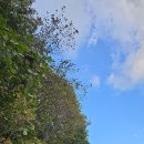 한티가는길 이미지