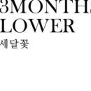 열세달꽃