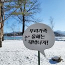 붕어섬축구장 이미지