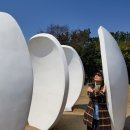 우정다실 이미지