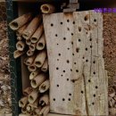 해밀톤관광호텔 | [이태원 호텔 숙소 추천!] 해밀톤관광호텔 별관 이태원에서 특별한 숙소