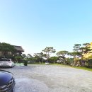 한정식 소나무 앞 이미지