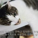 황토밭왕족발 이미지