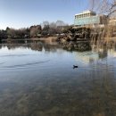 바보죽약국 이미지