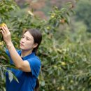 현수농장 이미지