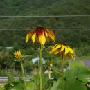 진동계곡산장2 이미지