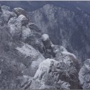 장군터(1) 티스토리
