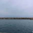(주)이마트 제주점 이미지