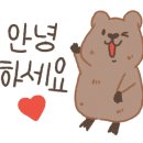 아이루미가 이미지