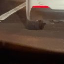 부창양곱창 | 2025년 마무리하며 2026년 다짐🫶