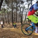 숲.MTB