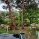 도봉-도봉-서울도봉-2548 이미지