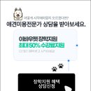 희망애견미용샵 네이버블로그