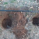 재식농장 이미지