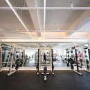 유엘피티 이미지