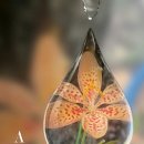 중부그린서비스 이미지