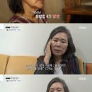 이주실 카카오 검색결과