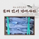 4월 제철 수산물