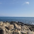 사주명리학(중급반) | 현묘의 사주명리 7기 입문 수강 후기