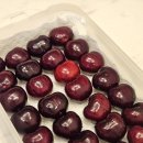 체리 | 🍒 캐나다 코스트코 체리 후기 | 신선도·보관법·가격 정보까지