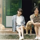 only you민박 이미지