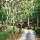 자연미림 이미지