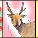 장미화원 이미지