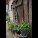신성고시원