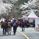 금산 충청타임즈