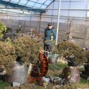 제2어린이공원 이미지